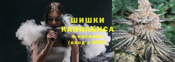 молекула духа Бронницы
