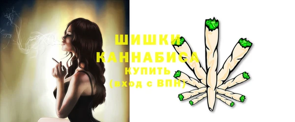 ГАЛЛЮЦИНОГЕННЫЕ ГРИБЫ Бородино