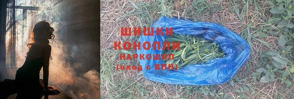 молекула духа Бронницы