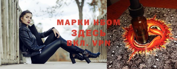 молекула духа Бронницы