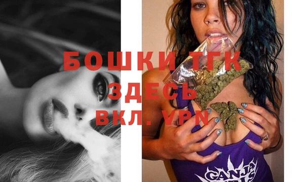 молекула духа Бронницы