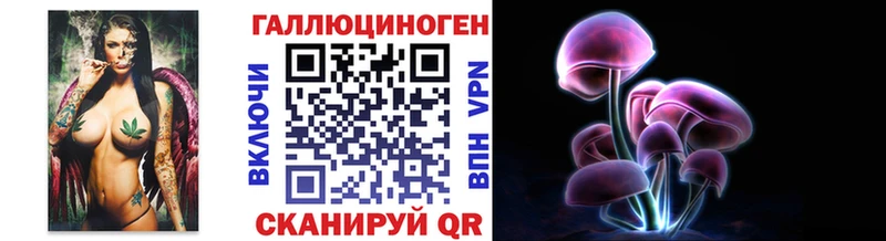 блэк спрут ССЫЛКА Балашиха Галлюциногенные грибы Psilocybe